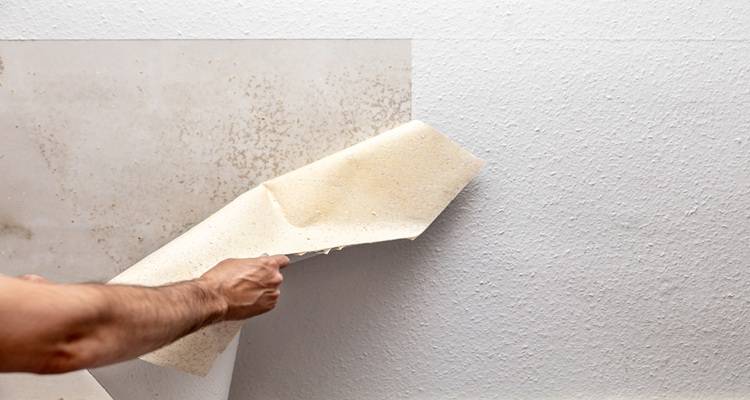 hand pulling wallpaper off