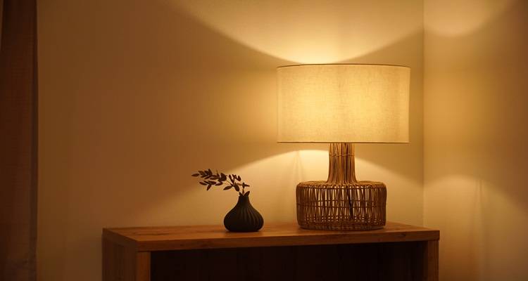 lamp on corner unit plant
