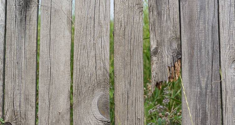 fence with missing boards and gaps