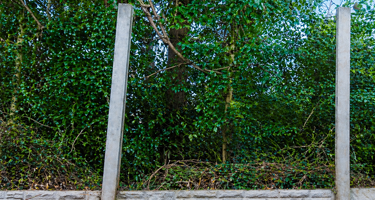 leaning fence post in garden