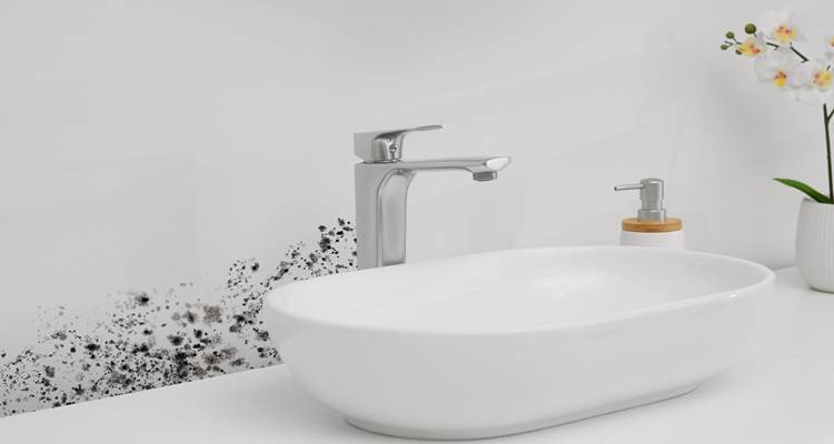 bathroom sink damp wall orchid