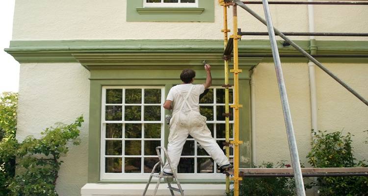 man painting green house