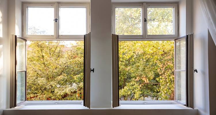 windows open onto garden