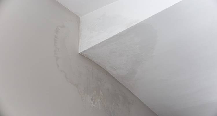 damp patch ceiling