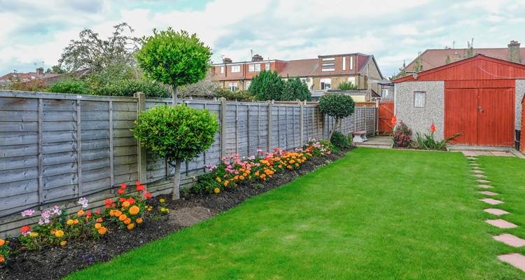 tidy back garden red shed