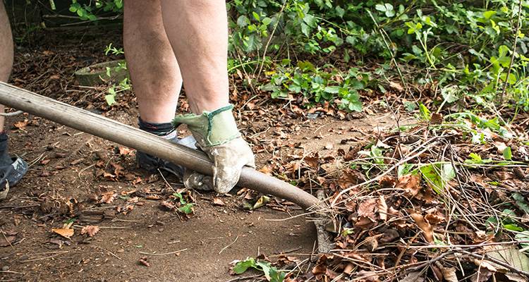 person clearing a garden