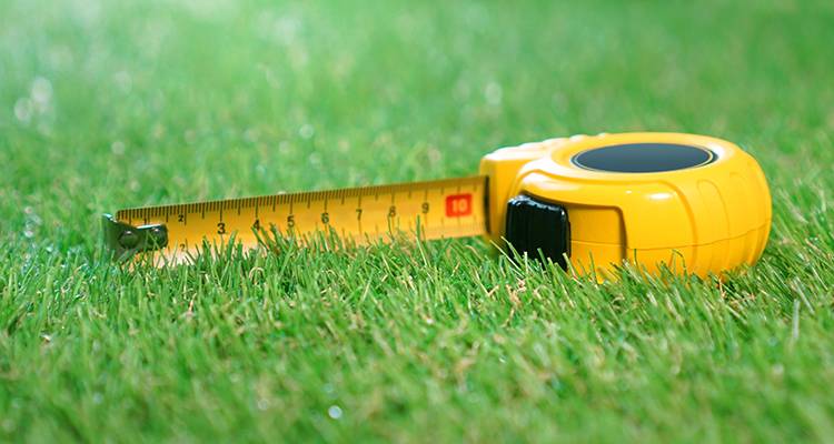measuring tape on a lawn