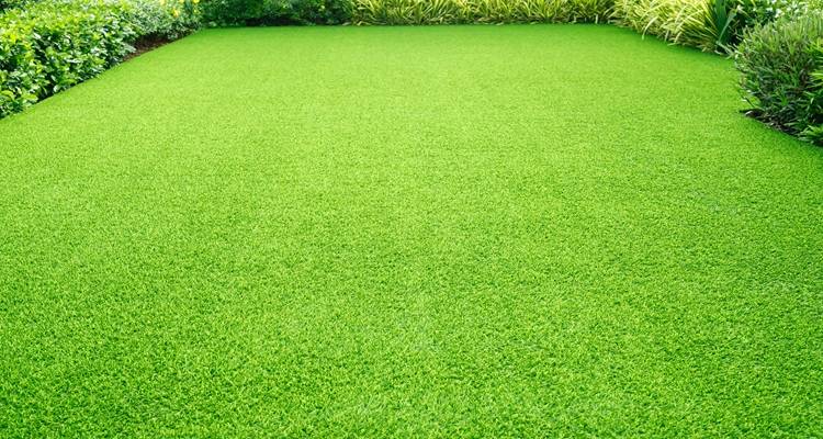 big garden fake grass