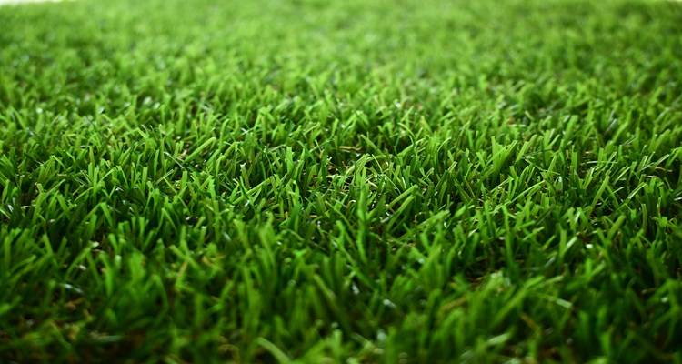 fake grass close up