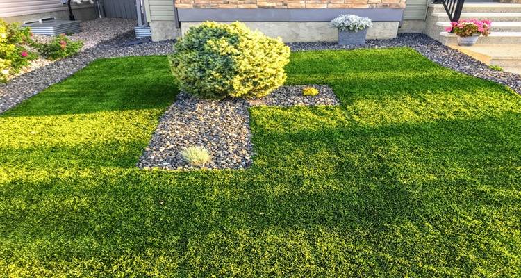 fake grass small garden