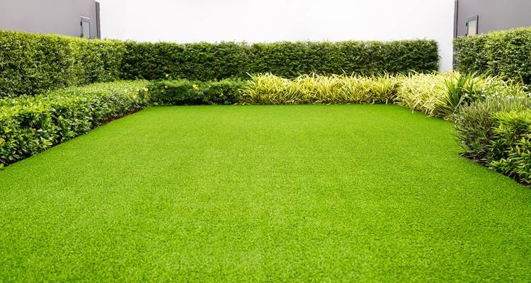 fake grass garden low hedges