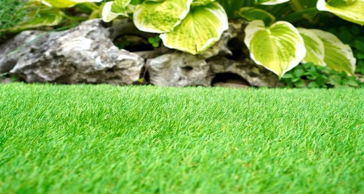 close up fake grass
