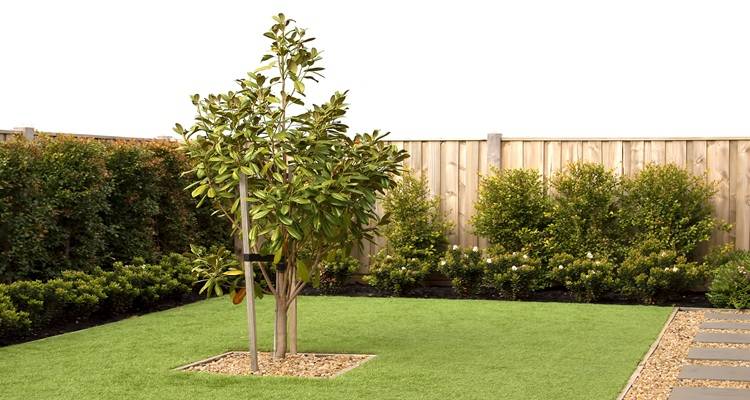 tree in middle of fake grass