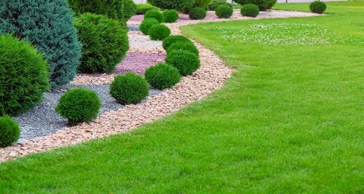 artificial grass wavy border