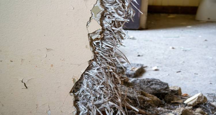 asbestos fibres wall