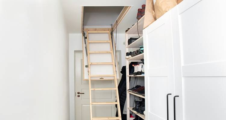 loft hatch and ladder