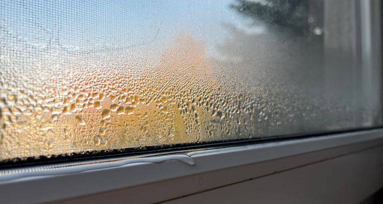 condensation window