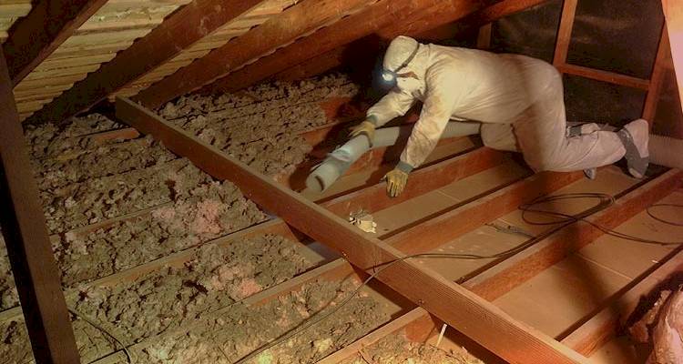 Old loft insulation being removed by a specialist