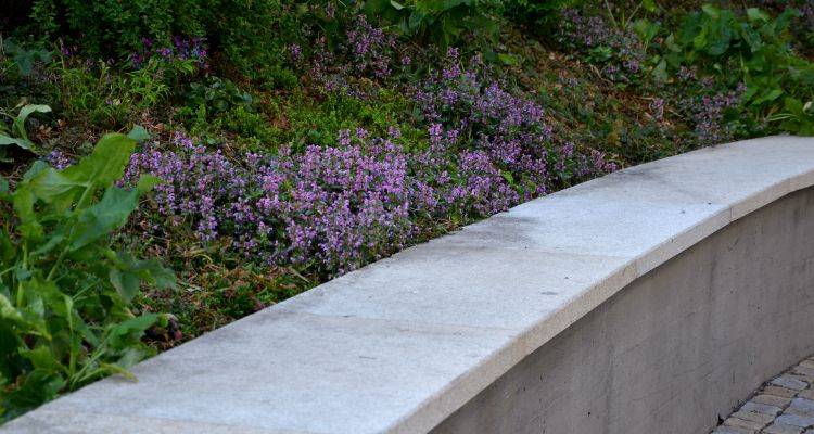 concrete wall cost