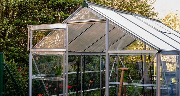 greenhouse
