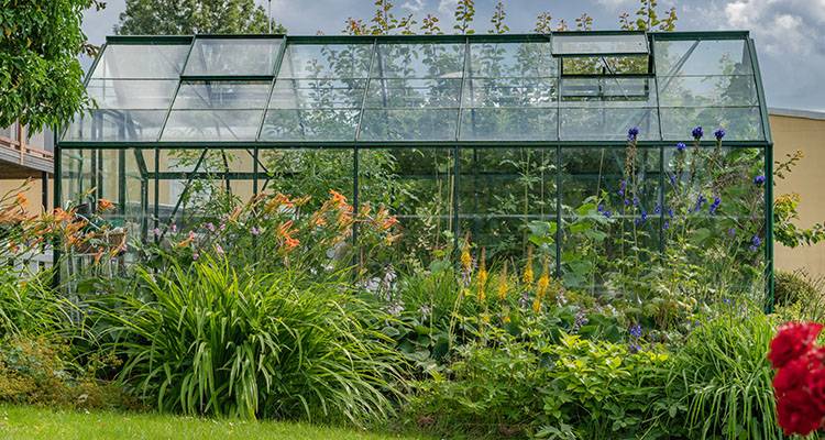 greenhouse