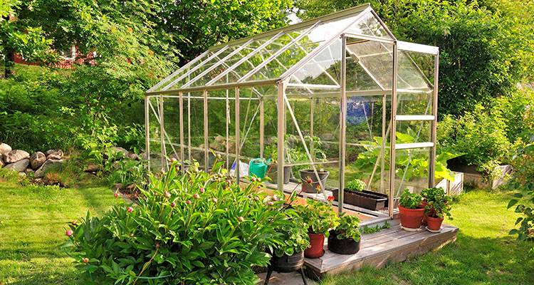greenhouse