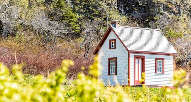 Blue and wood outbuilding