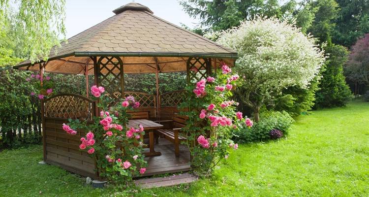 gazebo roses