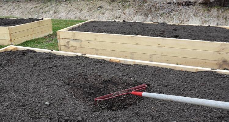 raking raised bed