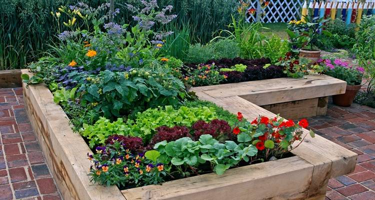 pretty wooden raisd bed