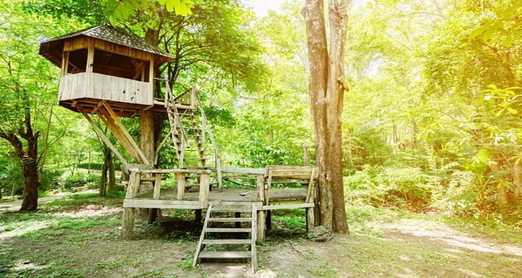 treehouse3