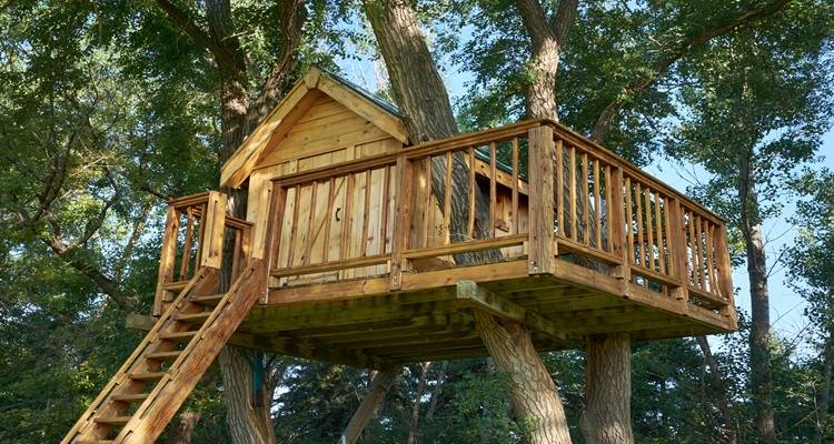 treehouse