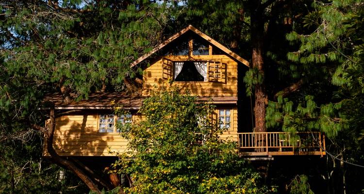 treehouse8