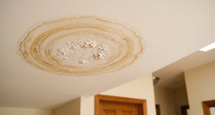 ceiling paintwork watermarked from leak