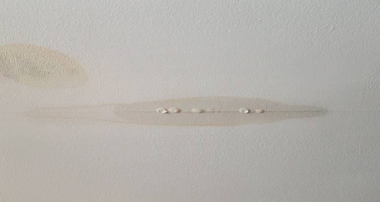 water dripping through ceiling