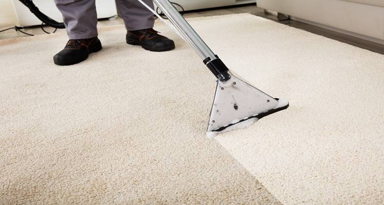 beige carpet being cleaned