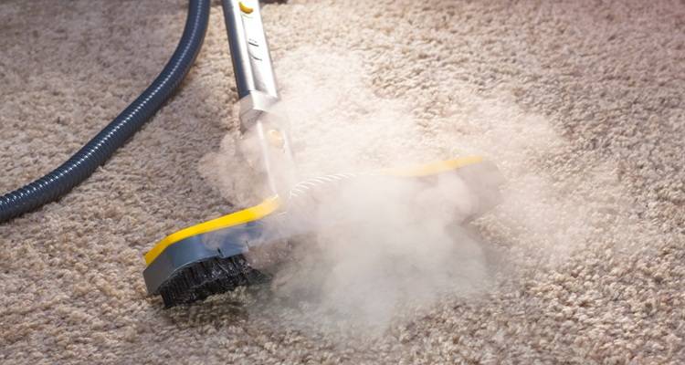 steam cleaner on carpet
