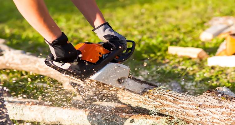 wood being cut by chainsaw