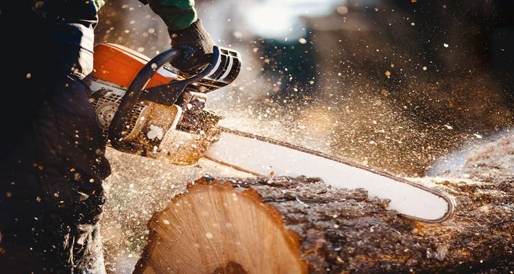 Chainsaw Certification Requirements in the UK