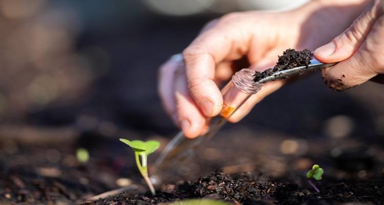 hand soil test tube