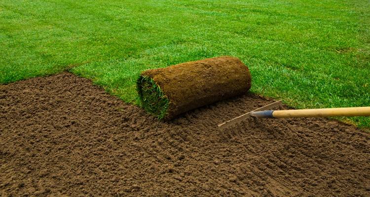 rolls of turf being laid
