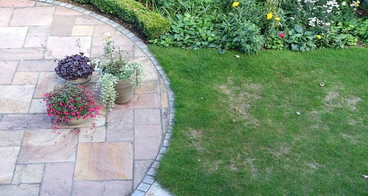 patio plants pots patchy grass