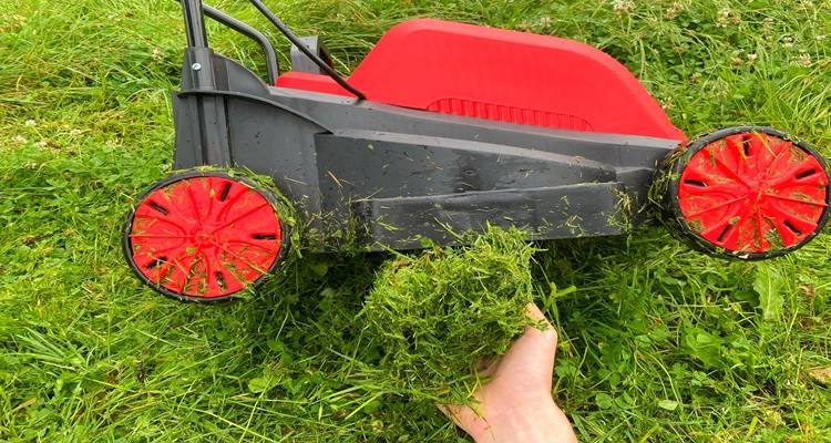 lawn mower red wet grass