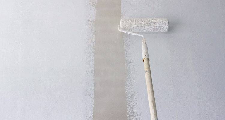 primer being painted on walls