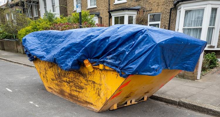 yellow skip blue cover