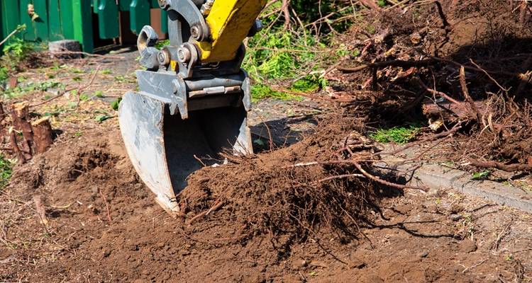 digger pulling out tree stumps