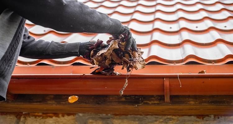 gutter clean