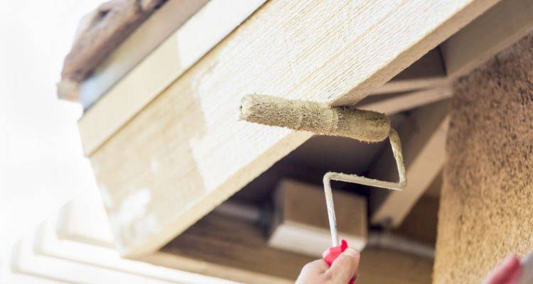 fascia replacement cost