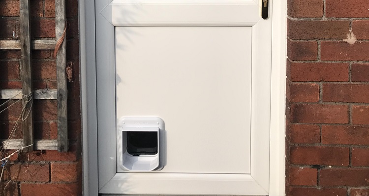 pet flap through upvc door