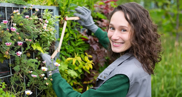 gardener maintaining a garden in the UK